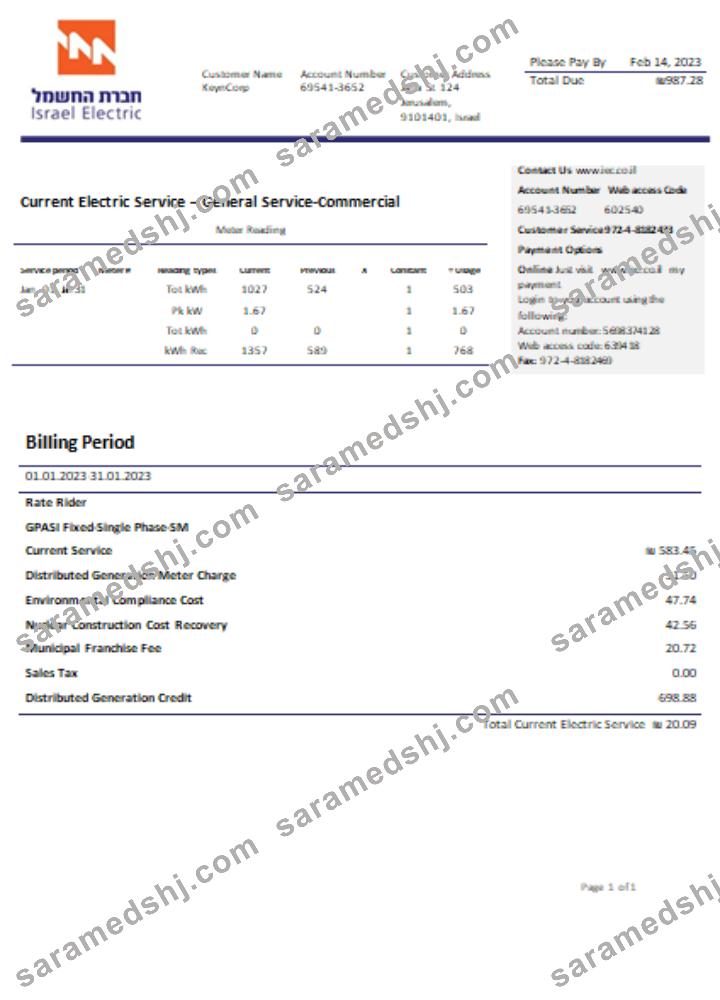 Electric Corporation utility business bill SCR